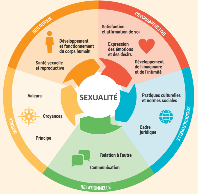 Globalité de la sexualité: biologique, psychoaffective, socioculturelle, relationnelle, morale.